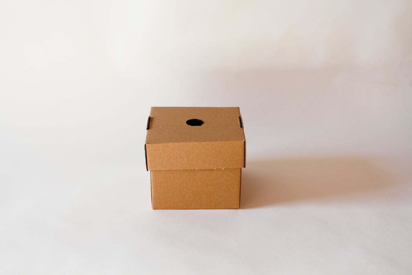 Burger Box