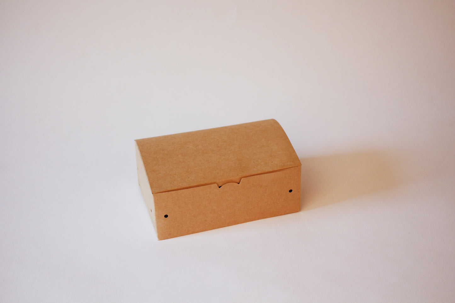 Fingerfood-Box mit Klappdeckel – 170×107×65 mm, 500 Stk.