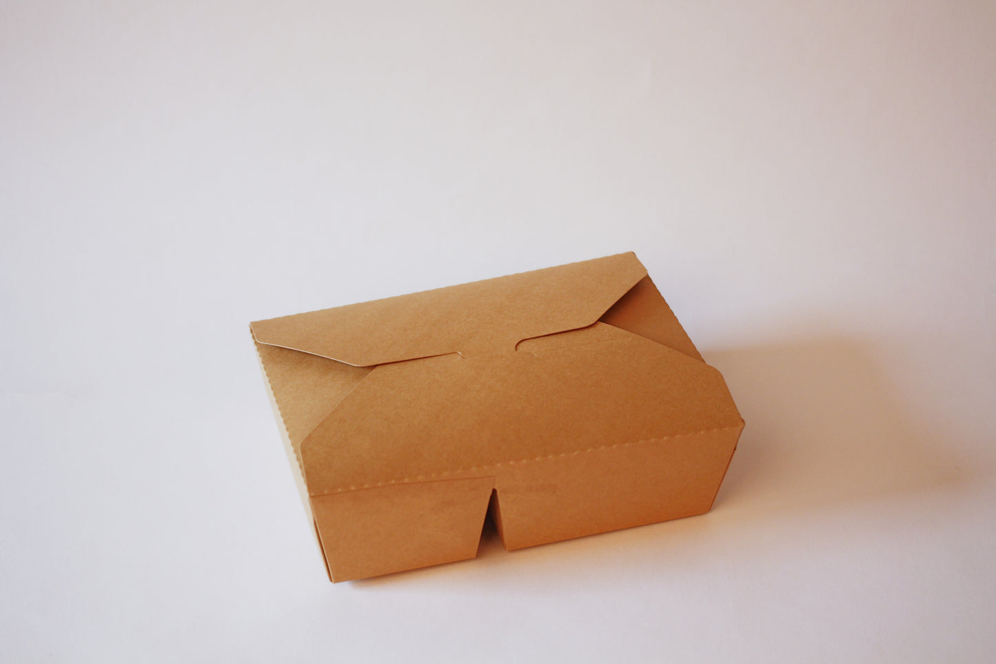 Bio-Foodcase 2-geteilt – 2000ml, 215x158x65mm , 200 Stk.
