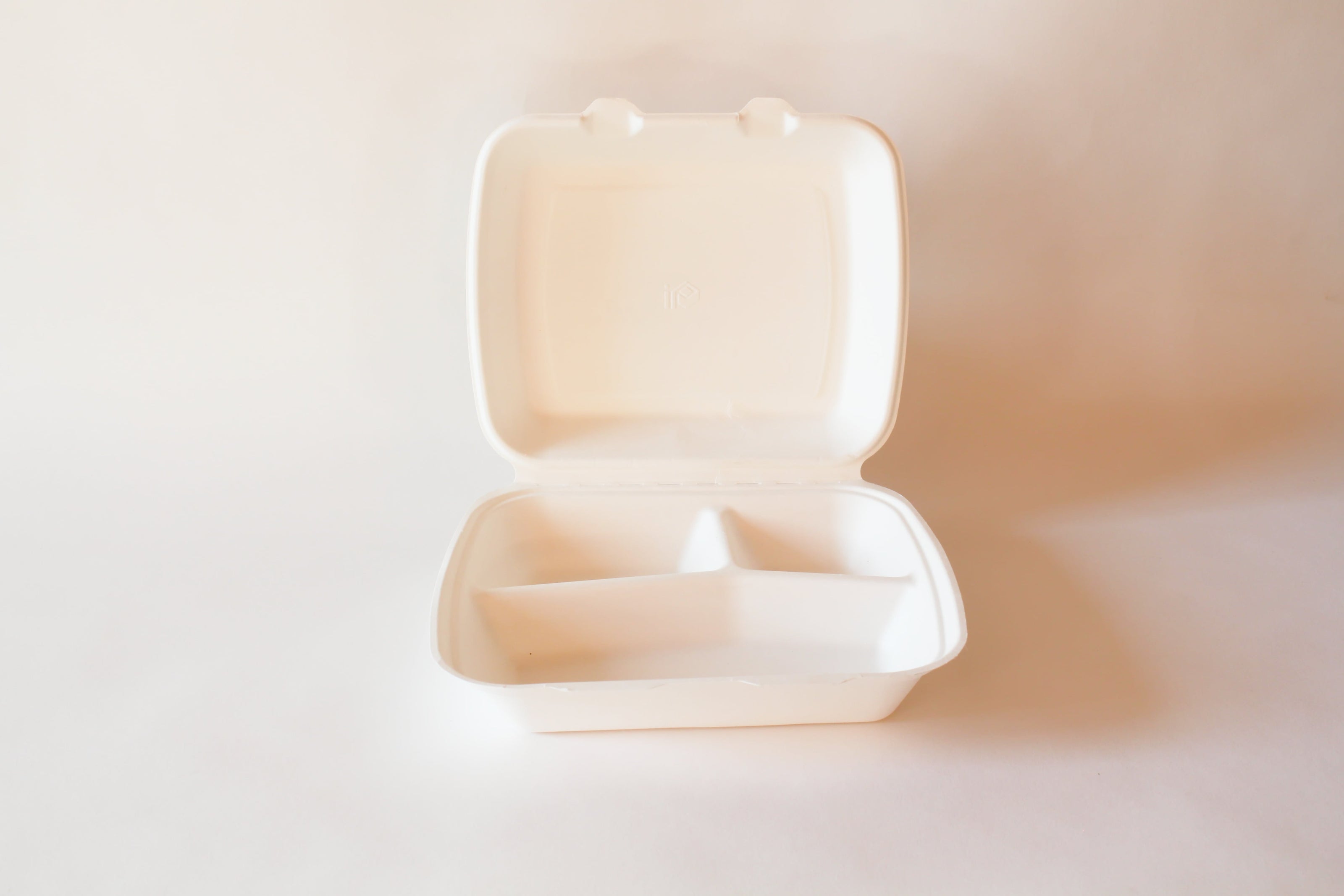 Bagasse Menübox